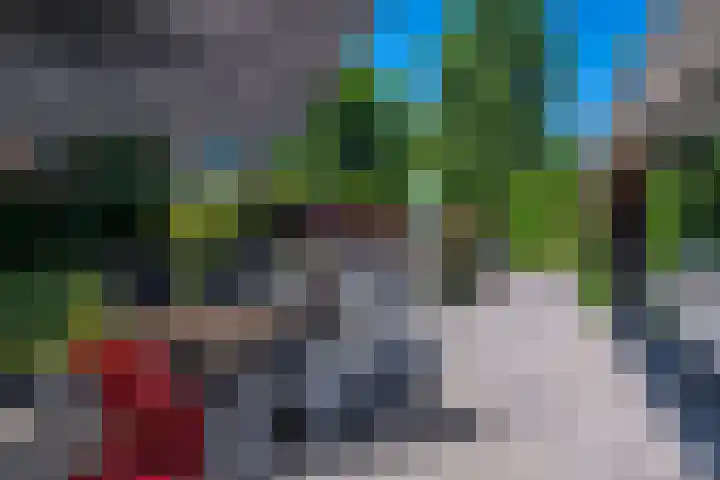 Snip 62 Groningen thumbnail 74