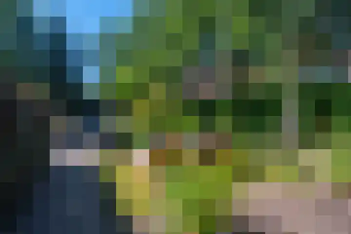 Snip 62 Groningen thumbnail 78