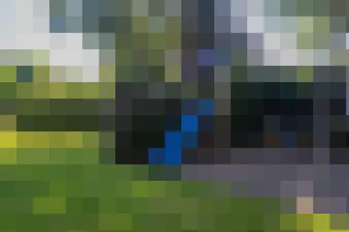 Snip 62 Groningen thumbnail 79