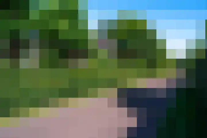 Snip 62 Groningen thumbnail 8