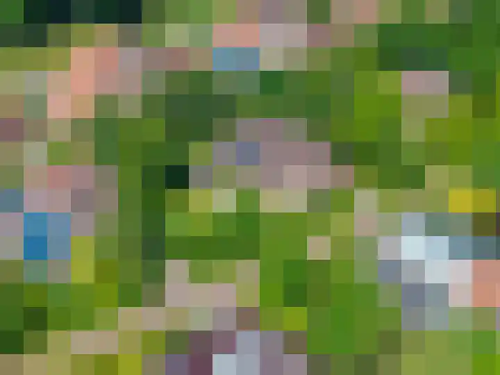 Snip 62 Groningen thumbnail 80