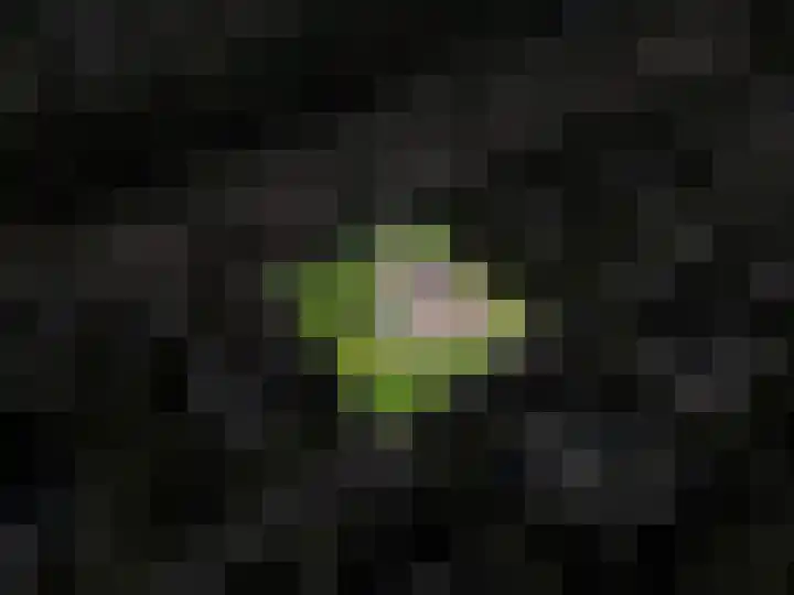 Snip 62 Groningen thumbnail 81