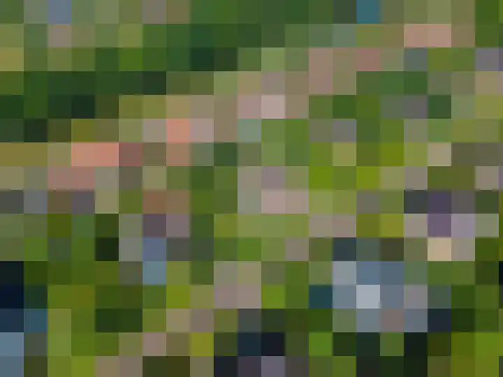 Snip 62 Groningen thumbnail 82