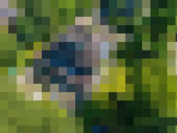 Snip 62 Groningen thumbnail 84