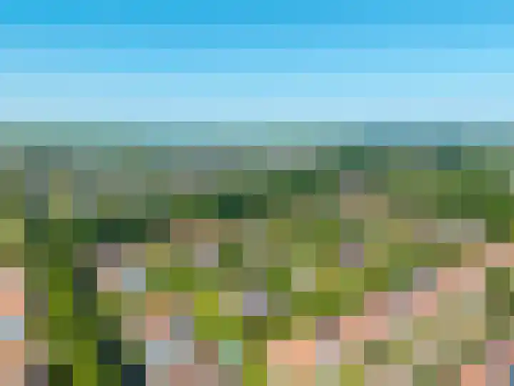 Snip 62 Groningen thumbnail 85