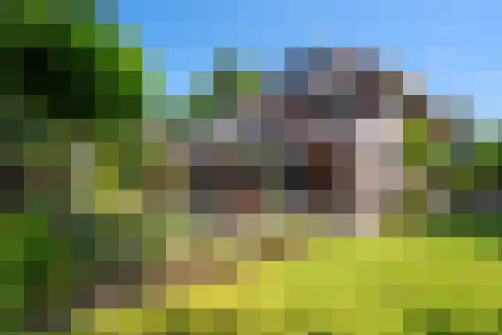 Snip 62 Groningen thumbnail 87