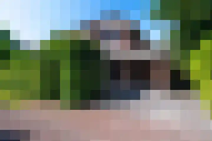 Snip 62 Groningen thumbnail 9