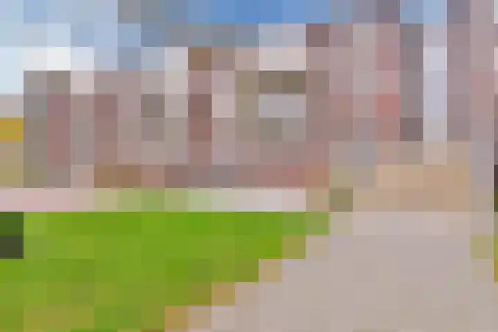 Snip 67 in Sassenheim