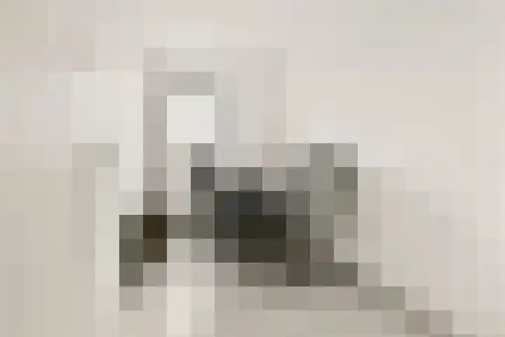Snip 67 Sassenheim thumbnail 11