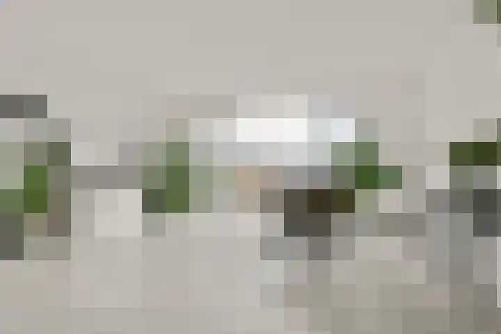 Snip 67 Sassenheim thumbnail 12