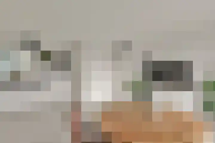 Snip 67 Sassenheim thumbnail 14