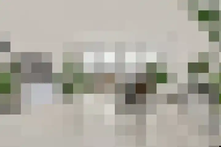 Snip 67 Sassenheim thumbnail 15