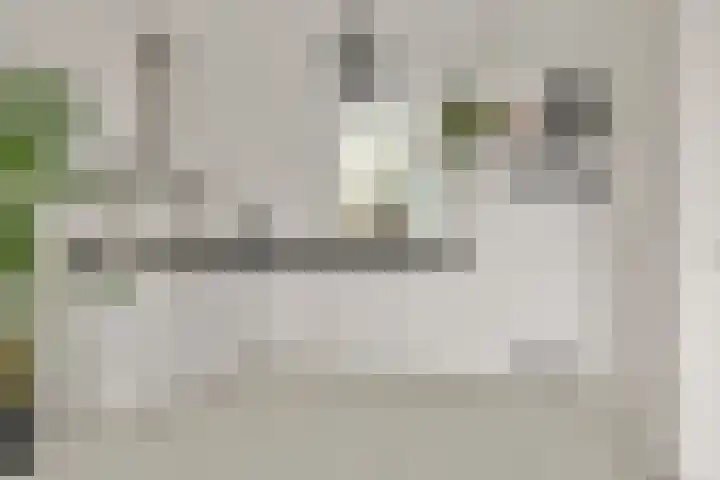 Snip 67 Sassenheim thumbnail 16