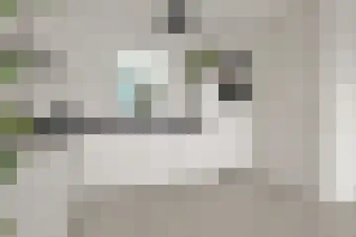 Snip 67 Sassenheim thumbnail 17