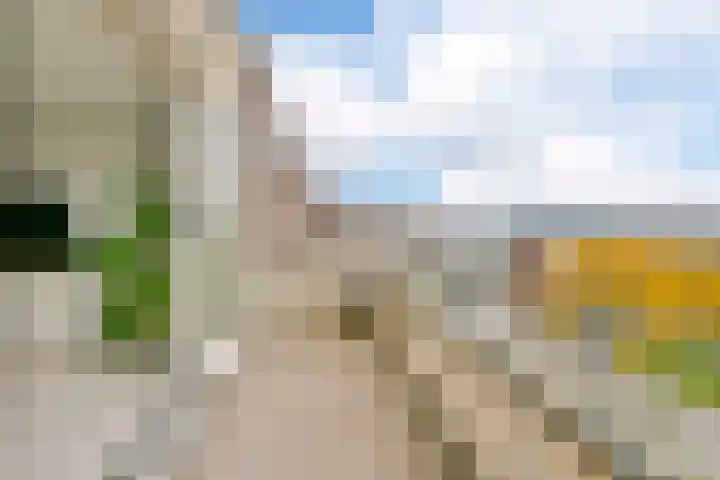 Snip 67 Sassenheim thumbnail 19