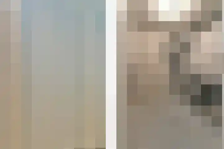 Snip 67 Sassenheim thumbnail 23