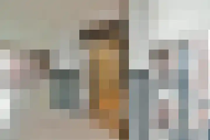 Snip 67 Sassenheim thumbnail 4