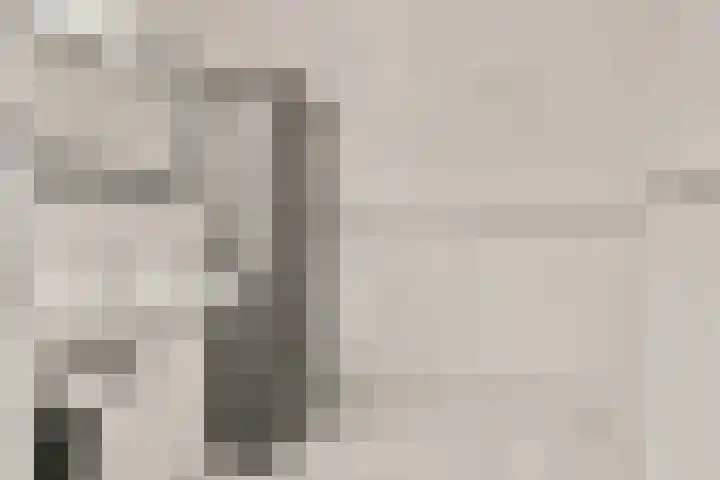 Snip 67 Sassenheim thumbnail 8