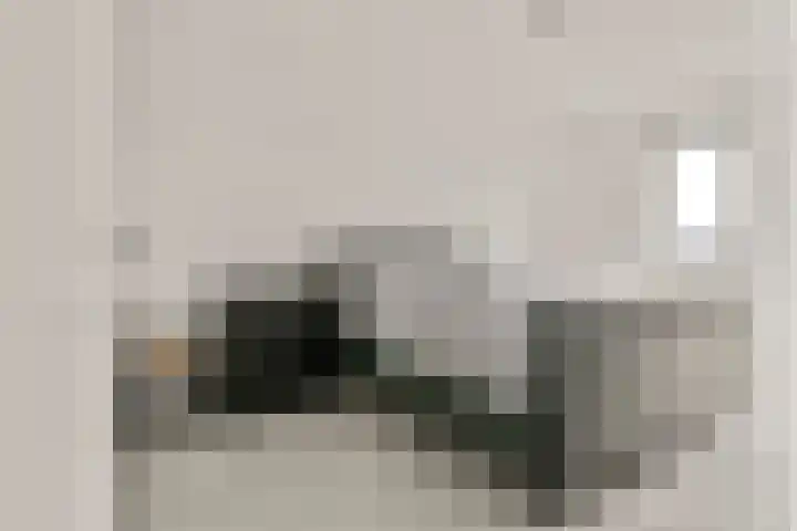 Snip 67 Sassenheim thumbnail 9