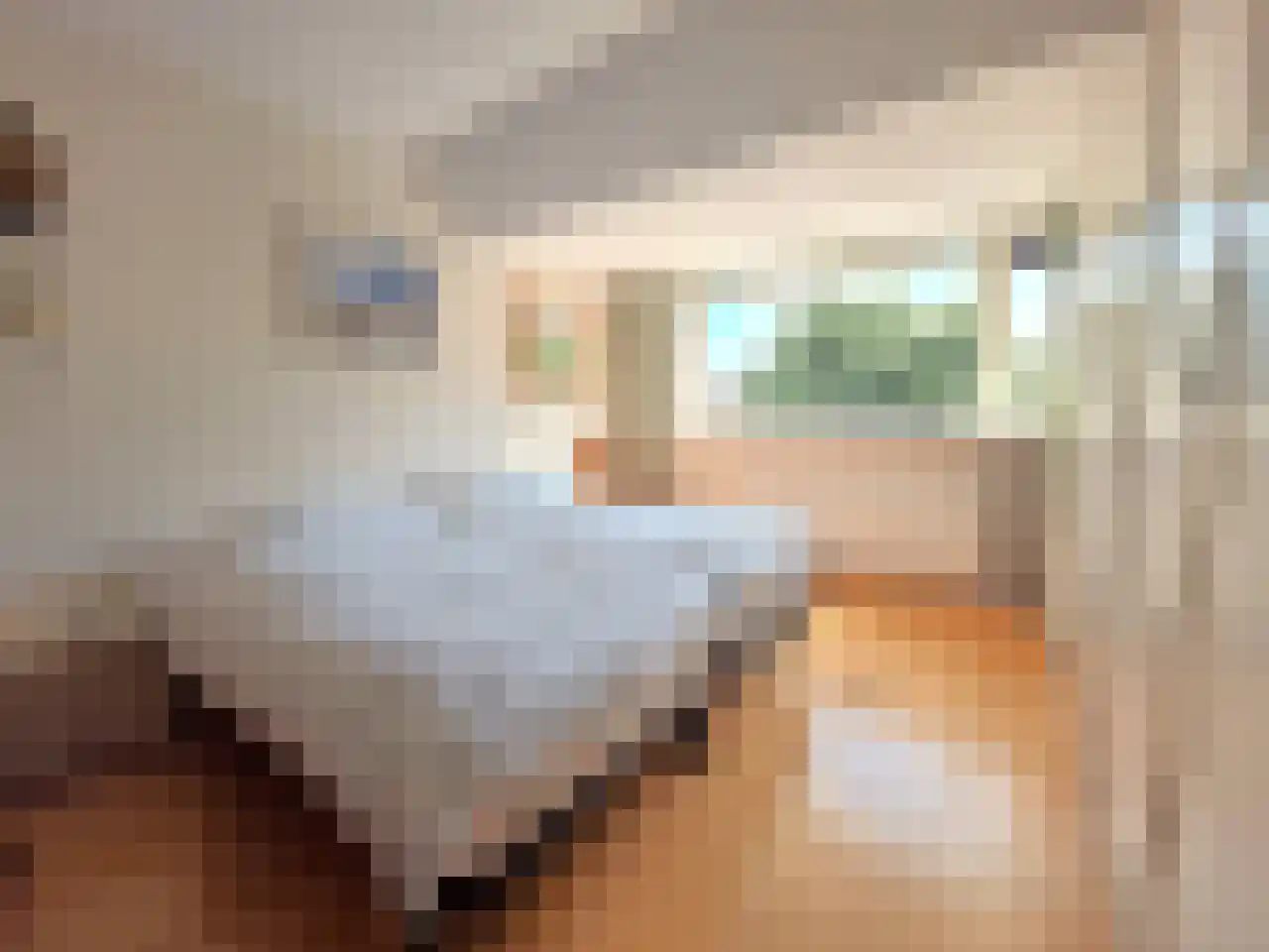 Snip 84 Groningen thumbnail 11