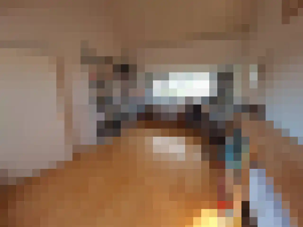Snip 84 Groningen thumbnail 14