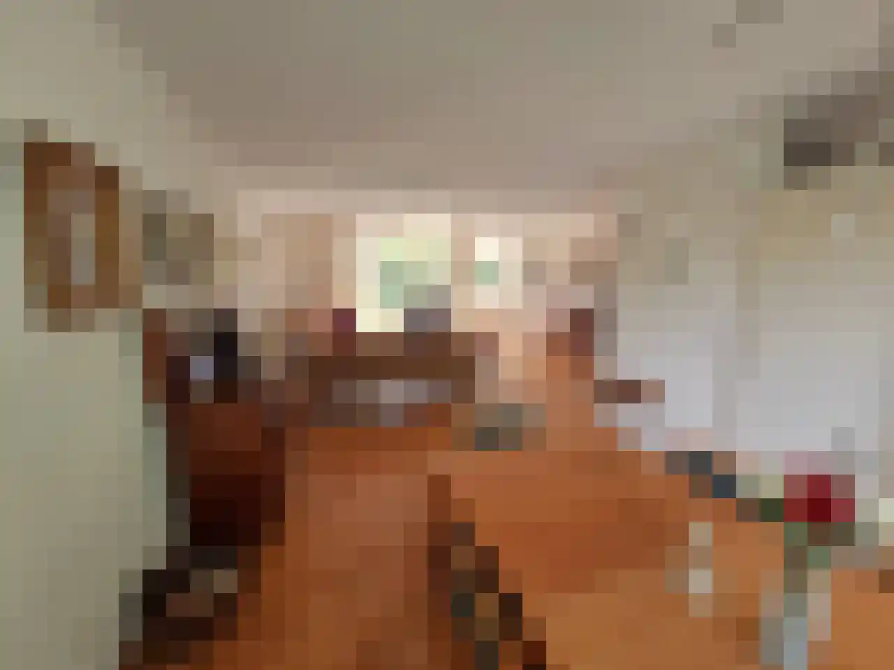 Snip 84 Groningen thumbnail 5