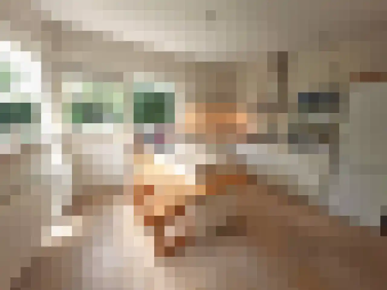 Snip 84 Groningen thumbnail 9