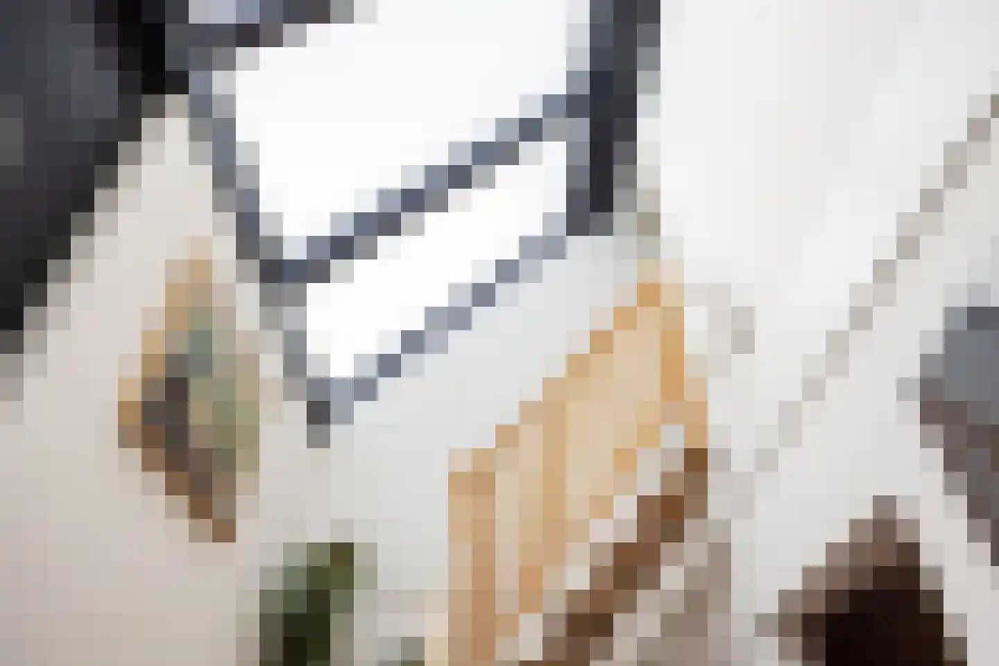 Snip 9 Groningen thumbnail 11