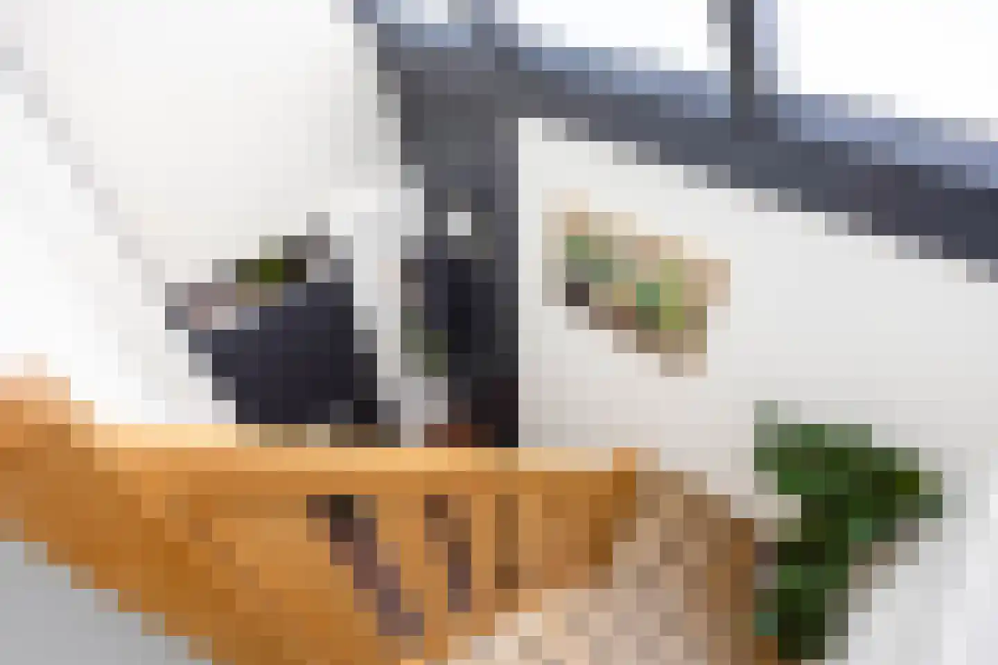 Snip 9 Groningen thumbnail 31