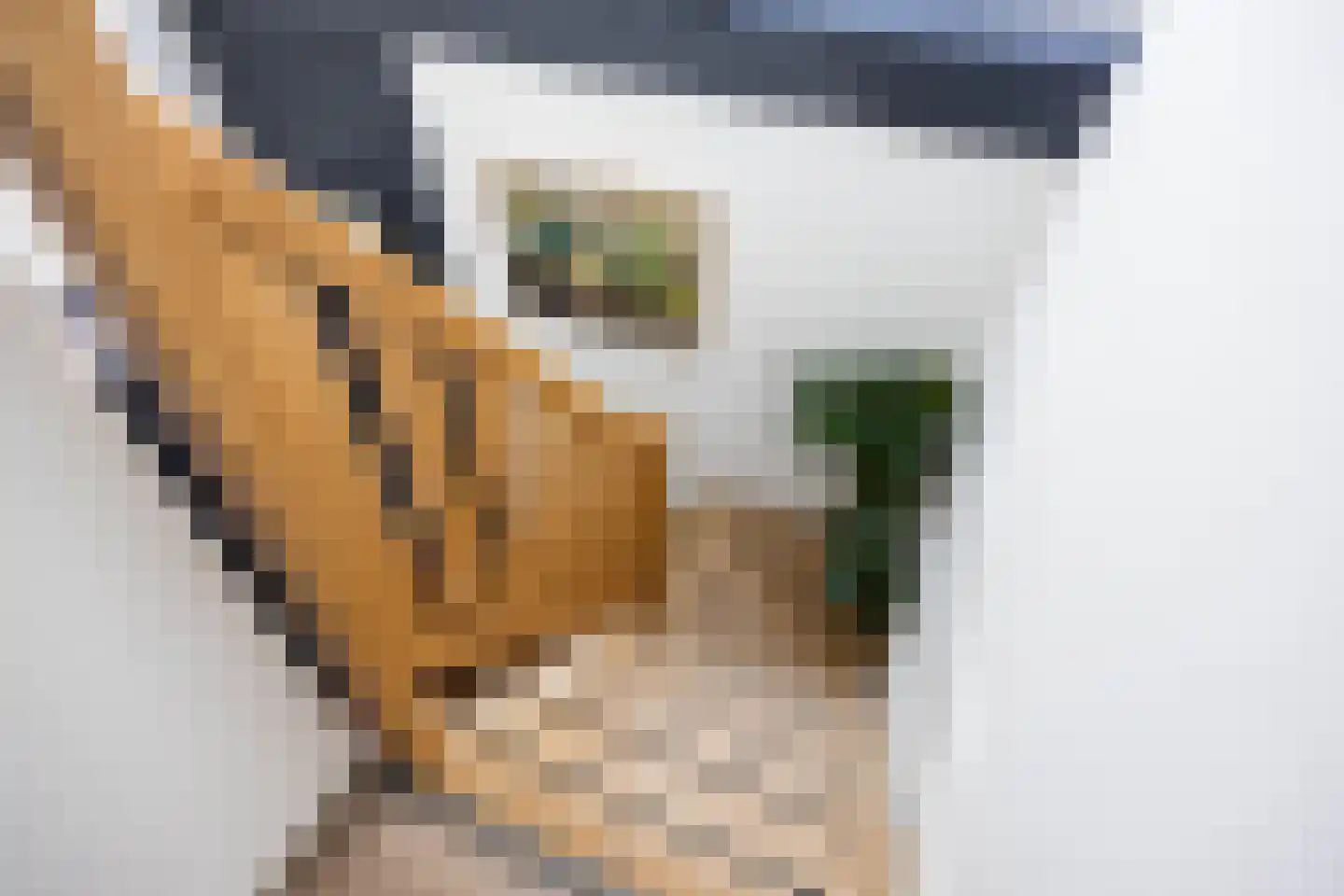 Snip 9 Groningen thumbnail 32