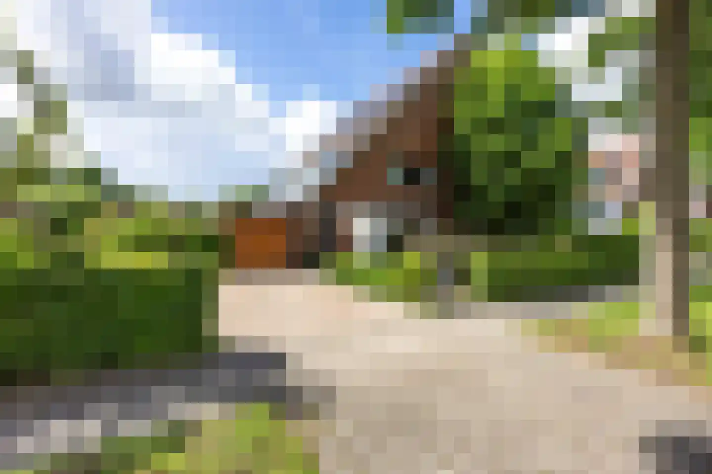 Snip 9 Groningen thumbnail 4