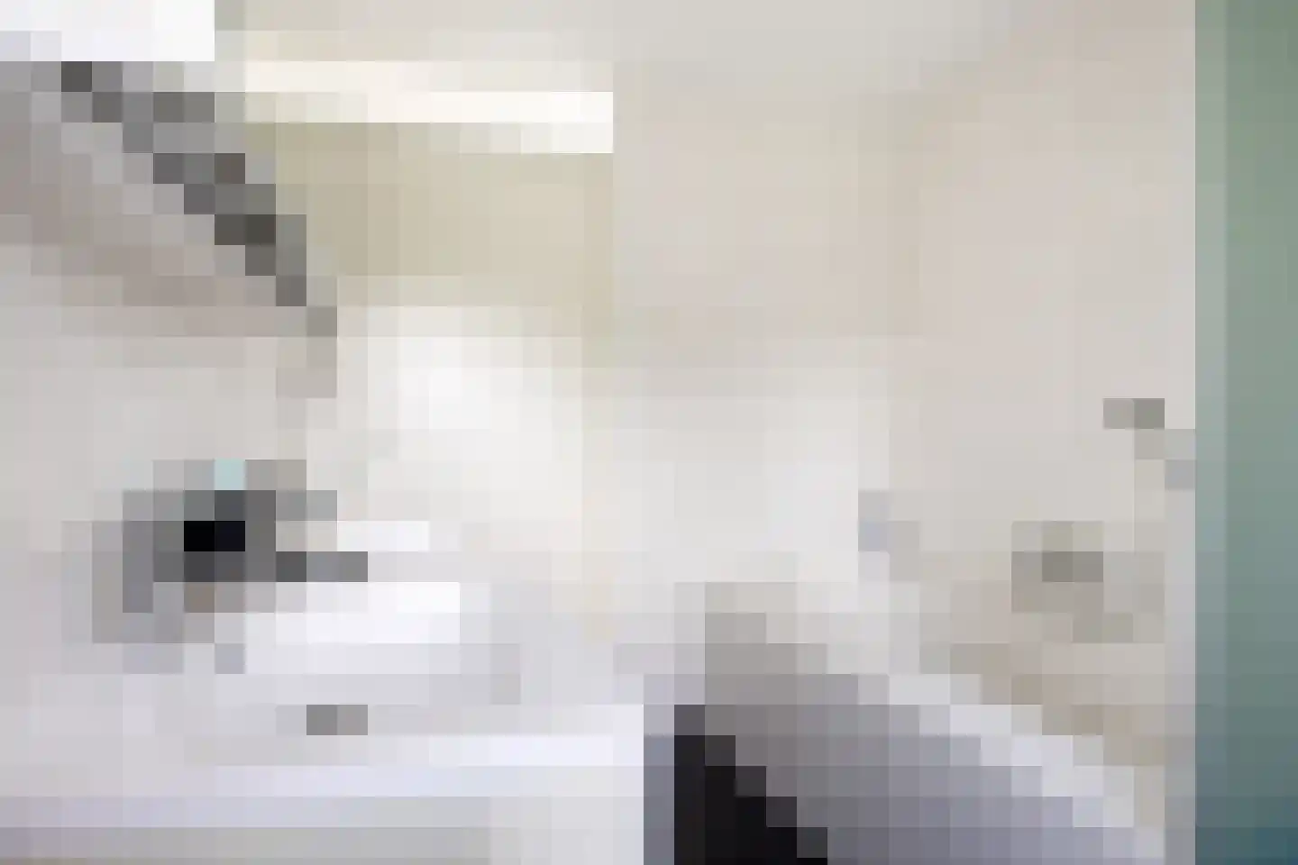 Snip 9 Groningen thumbnail 44