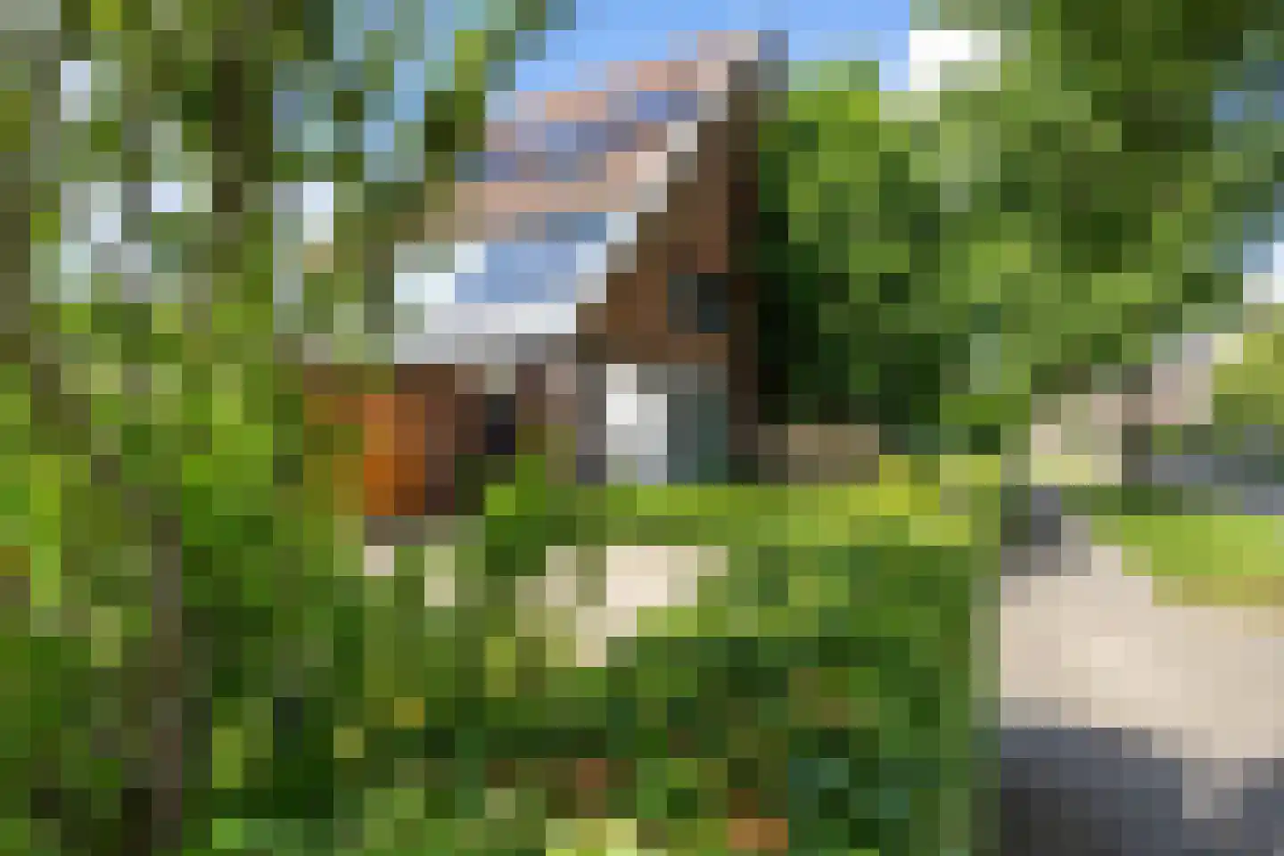 Snip 9 Groningen thumbnail 5