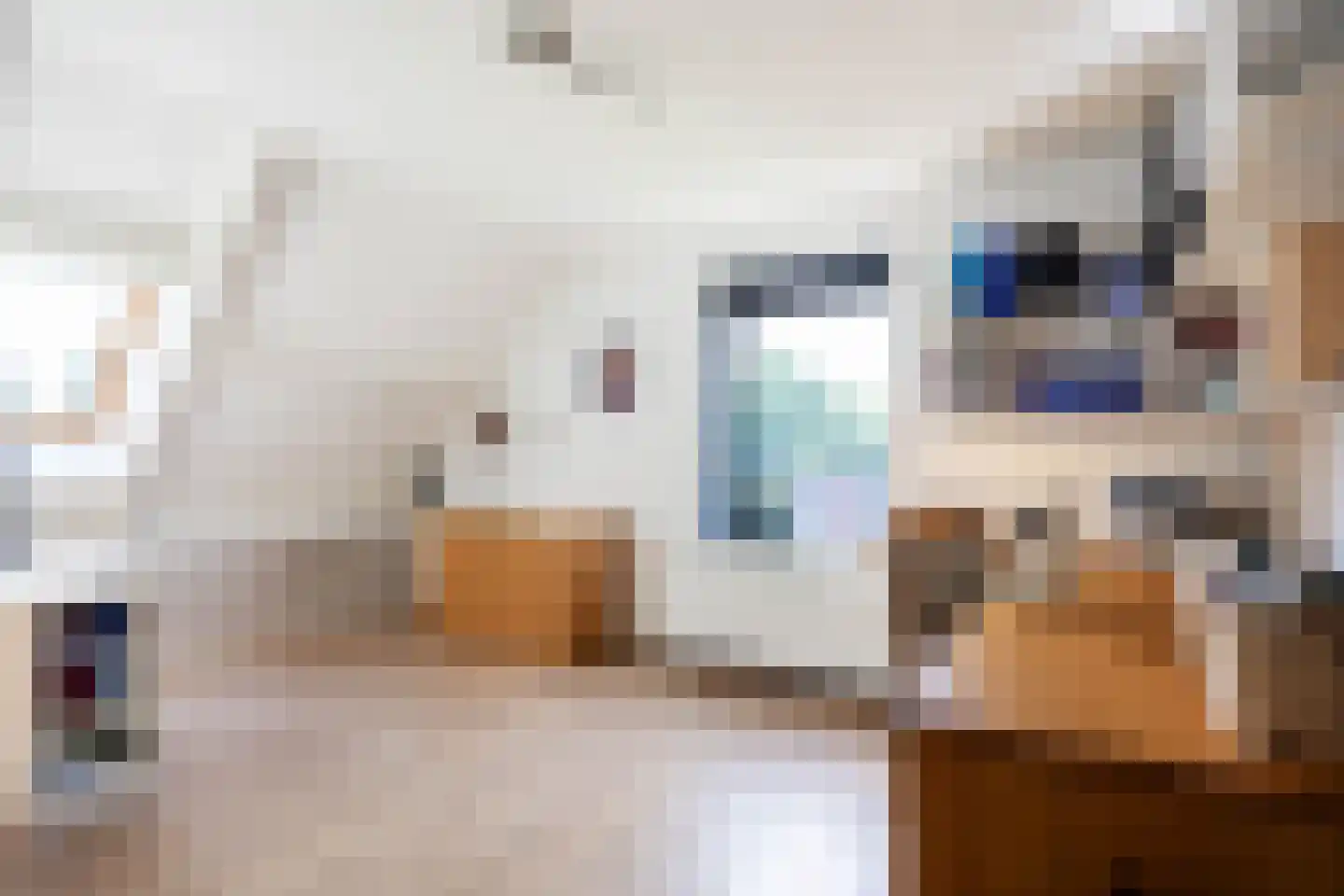 Snip 9 Groningen thumbnail 50
