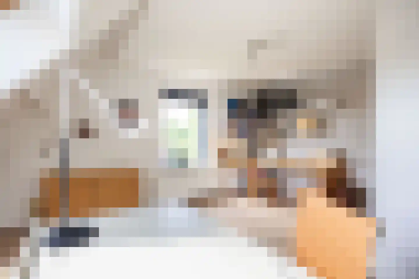 Snip 9 Groningen thumbnail 52