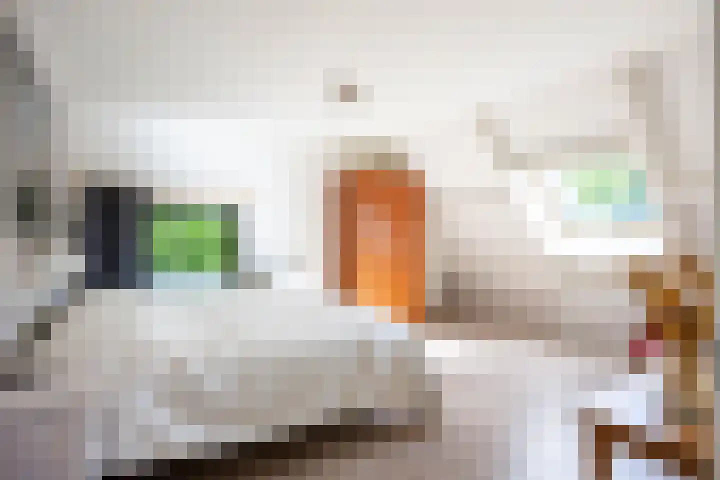 Snip 9 Groningen thumbnail 53