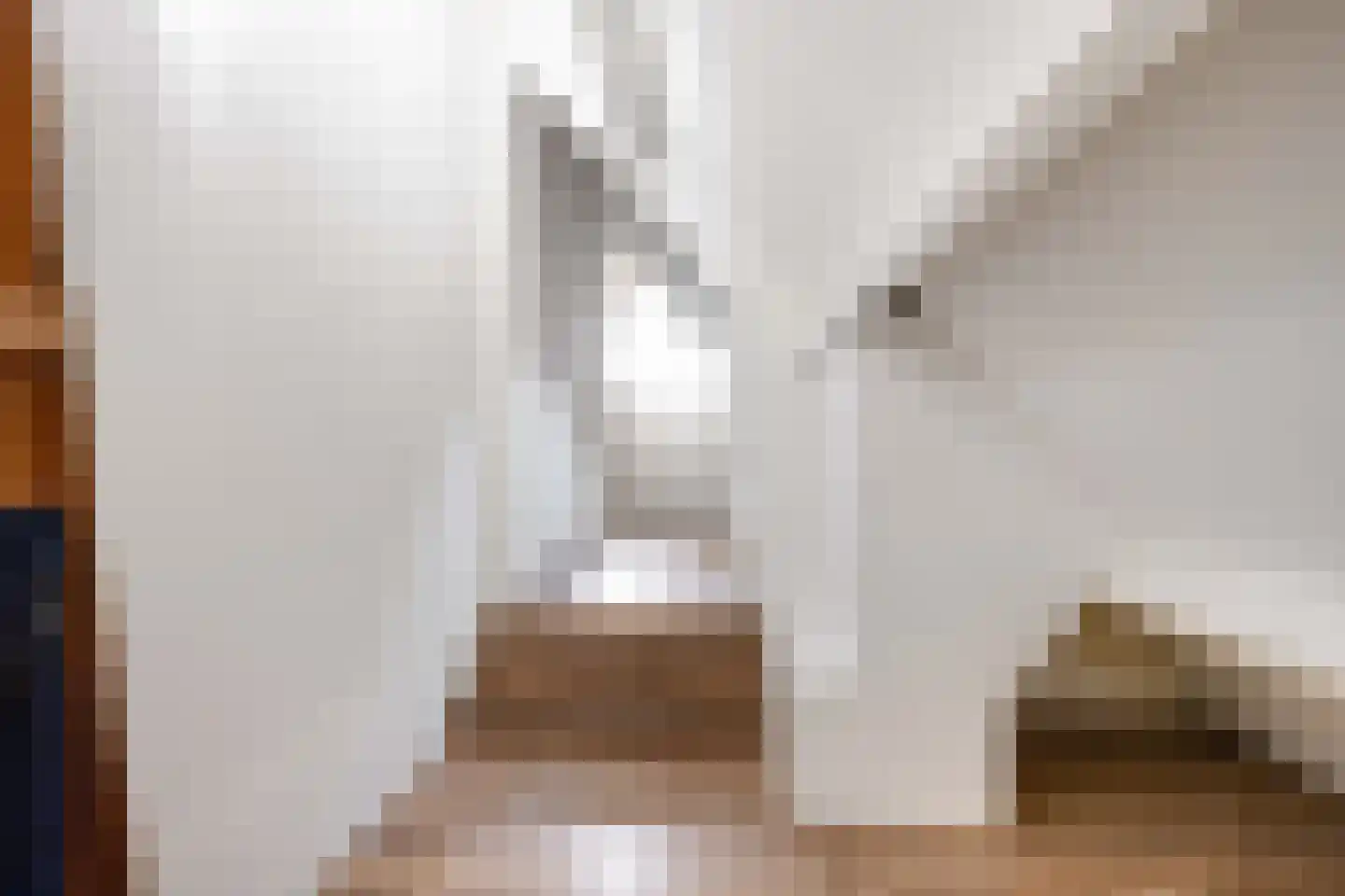 Snip 9 Groningen thumbnail 56