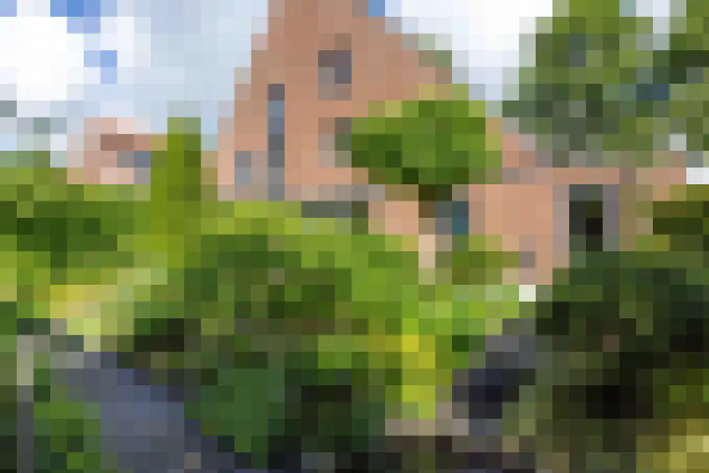 Snip 9 Groningen thumbnail 58