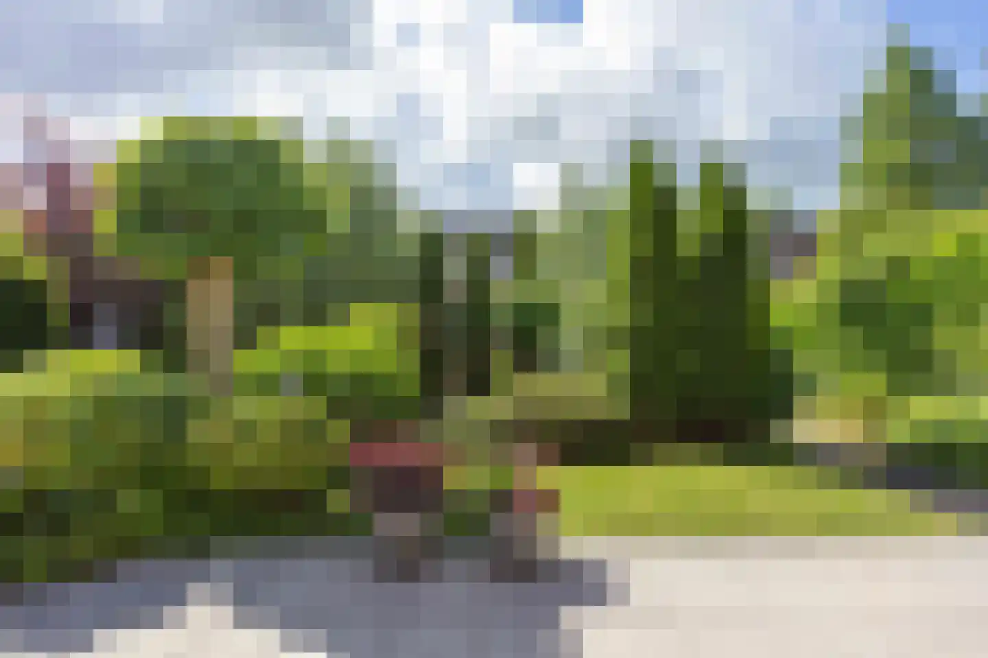 Snip 9 Groningen thumbnail 64
