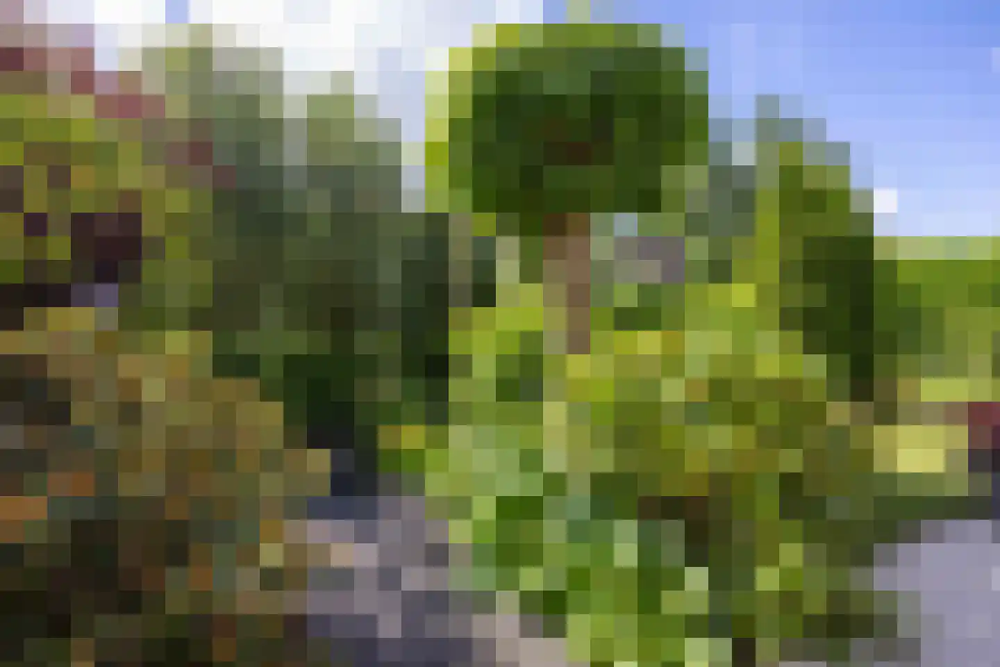 Snip 9 Groningen thumbnail 65