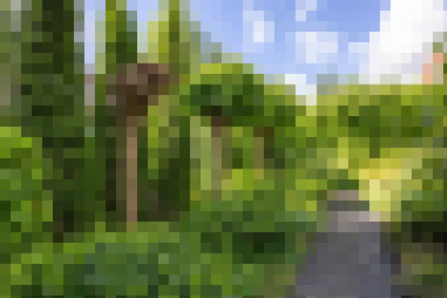Snip 9 Groningen thumbnail 66