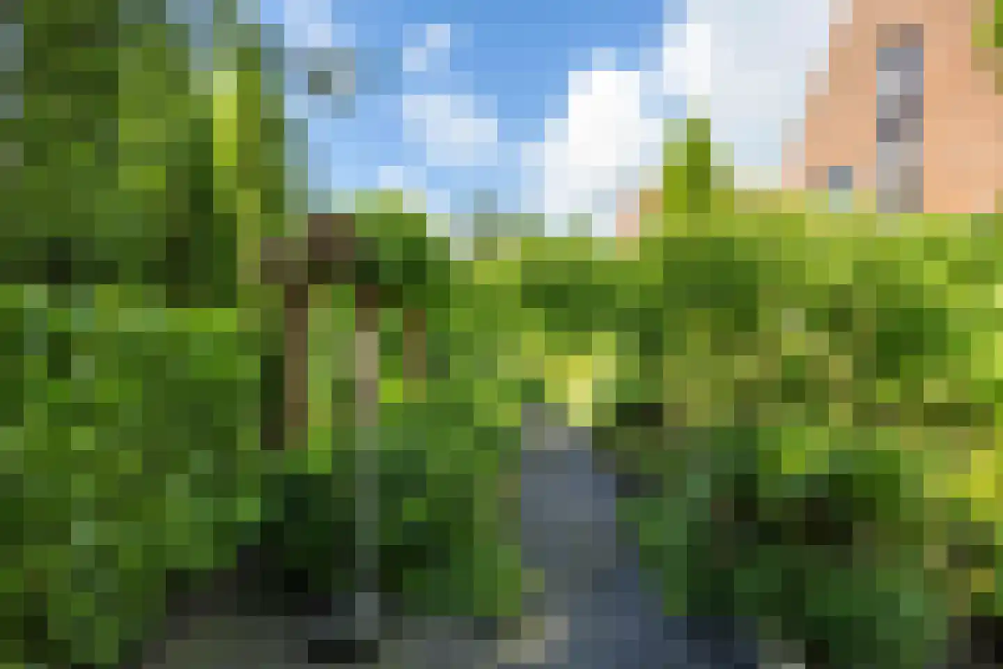 Snip 9 Groningen thumbnail 67