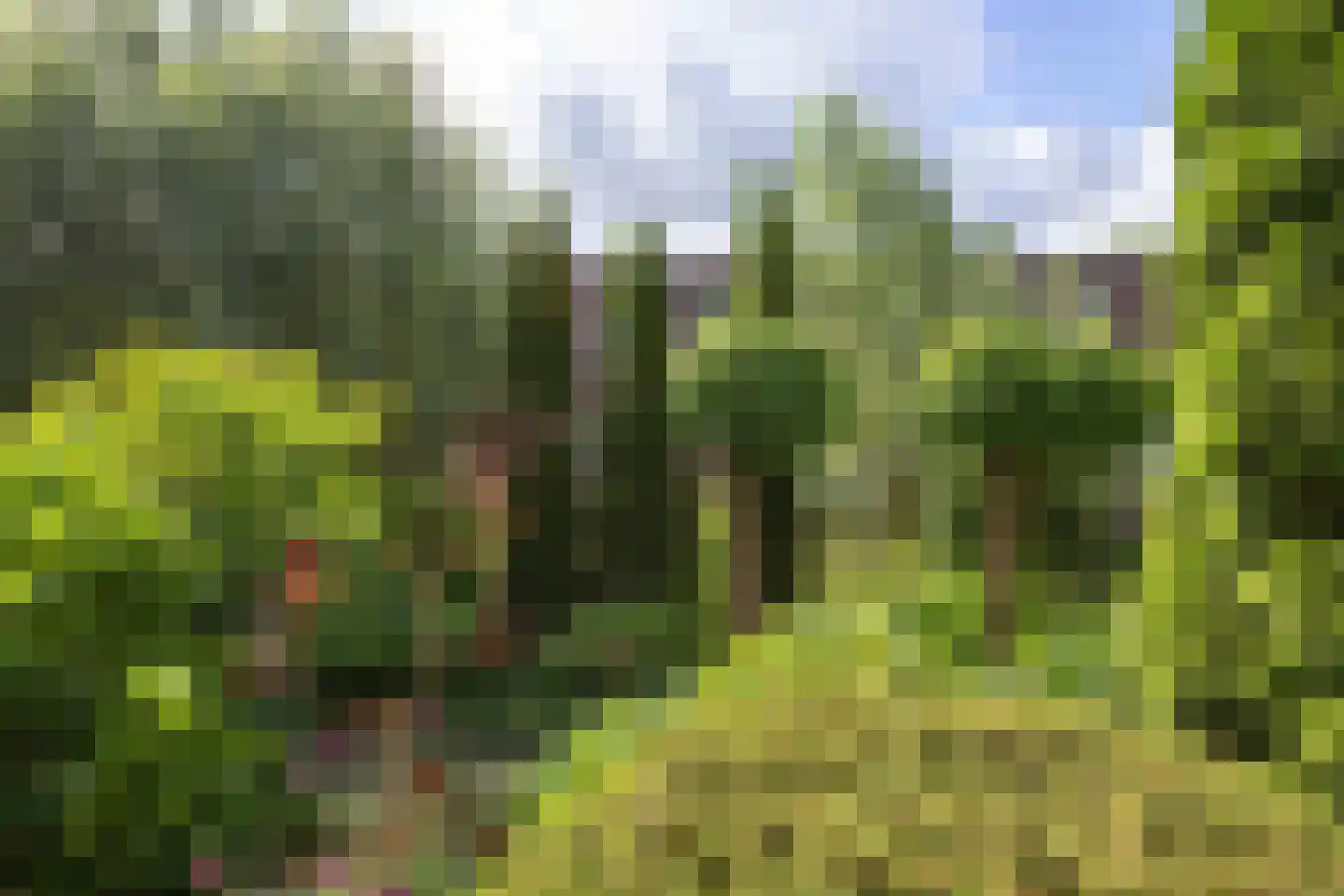Snip 9 Groningen thumbnail 68