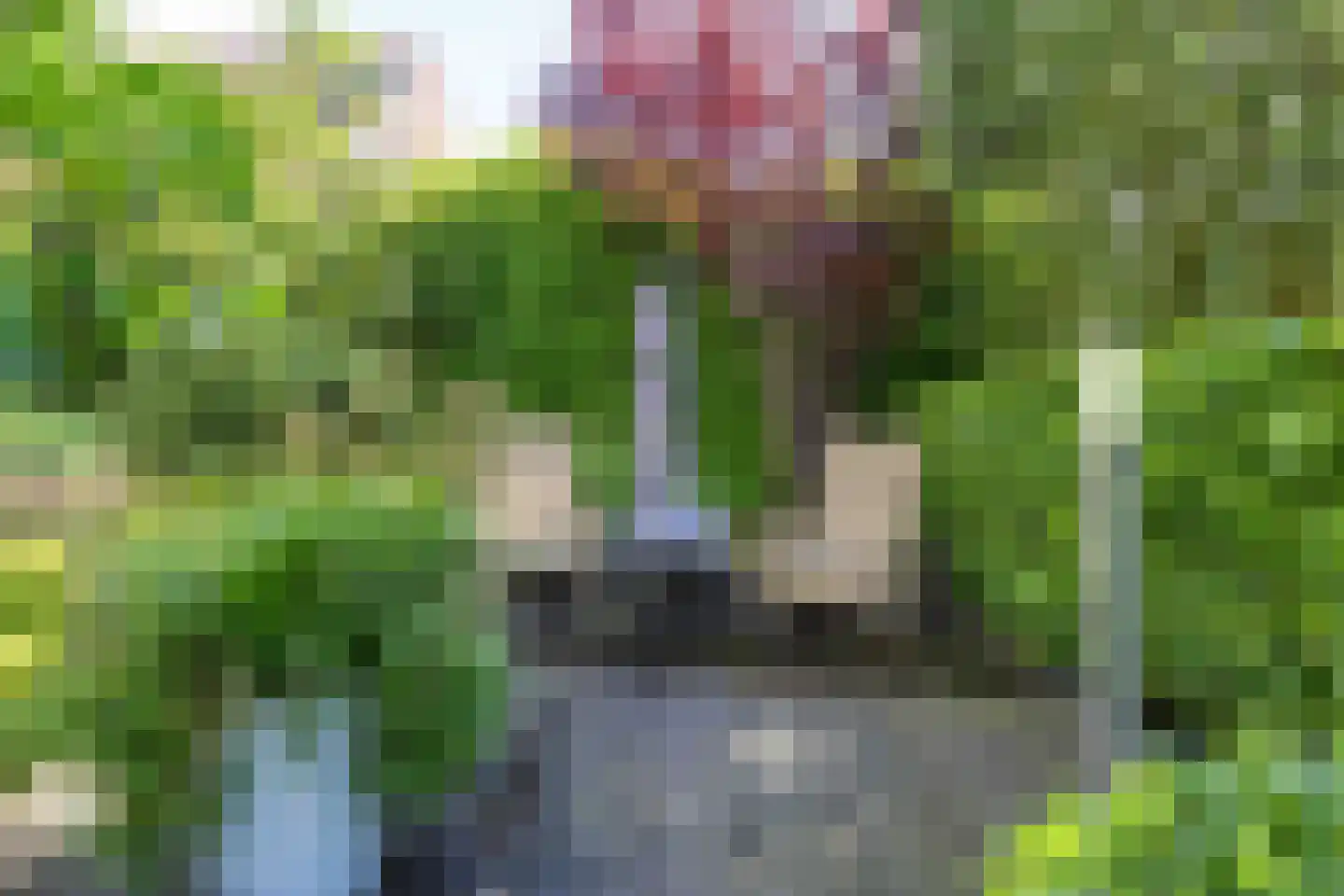 Snip 9 Groningen thumbnail 70