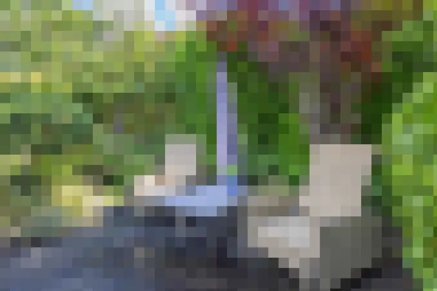 Snip 9 Groningen thumbnail 71
