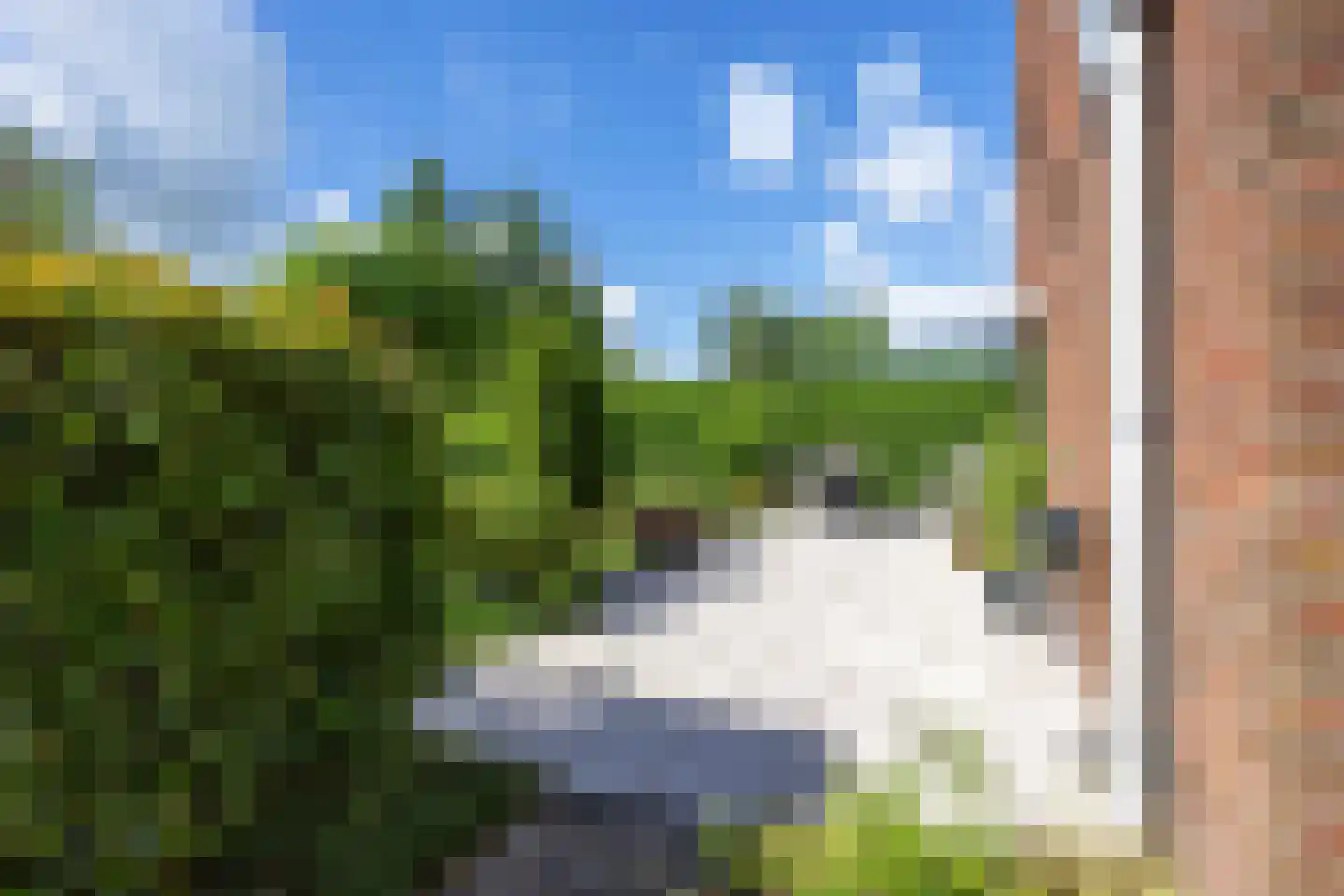 Snip 9 Groningen thumbnail 72