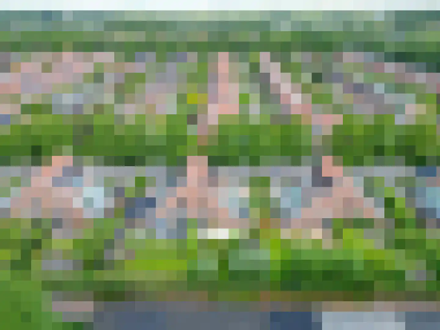 Snip 9 Groningen thumbnail 76