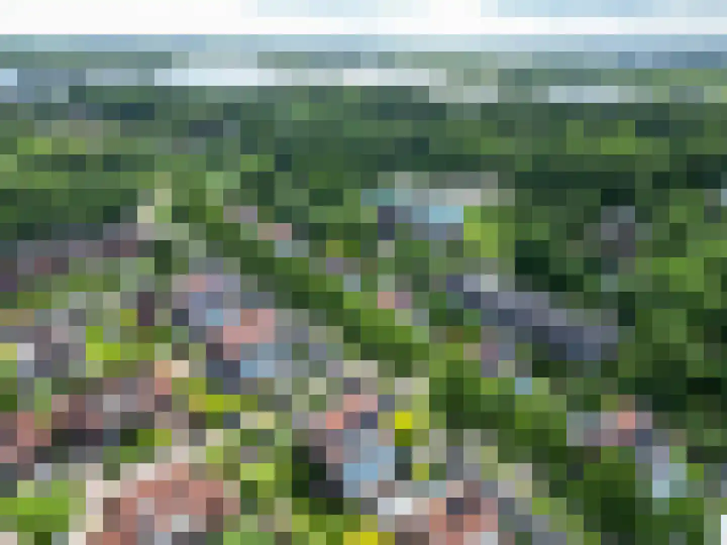 Snip 9 Groningen thumbnail 78