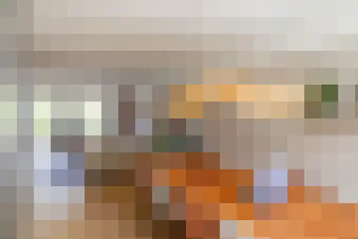 Snip 91 Groningen thumbnail 12