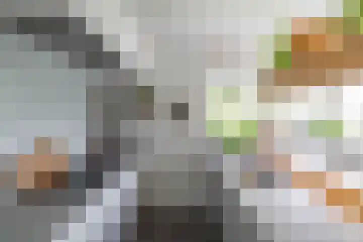 Snip 91 Groningen thumbnail 20